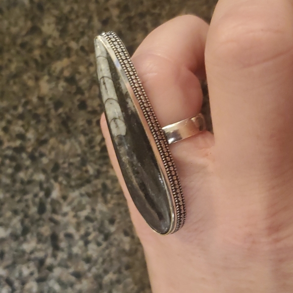 New Huge Orthoceras Fossil 925 Silver Statement Ring. - Picture 7 of 10